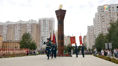 Фото Кузнечики подольск - скачать бесплатно в хорошем качестве