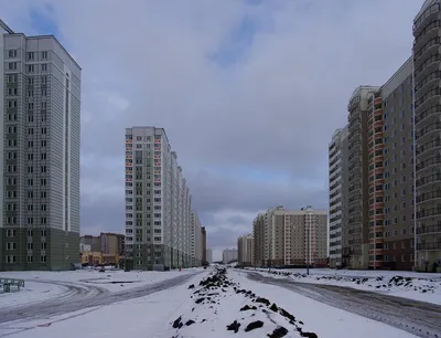 Фото Кузнечики подольск - качественные изображения для скачивания бесплатно