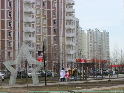 Фото Кузнечики Подольск: искусство фотографии, запечатлевающее эмоции