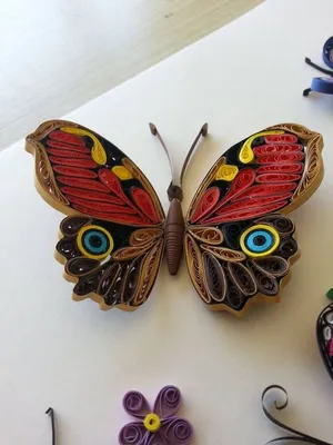 Квиллинг бабочка  фото
