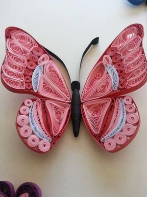Фото Квиллинг бабочка: выберите размер и загрузите в JPG