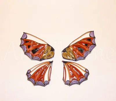 Фотография Квиллинг бабочка для скачивания в JPG