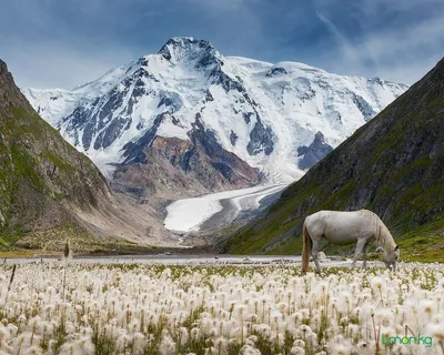 Удивительный пейзаж: фото киргизских гор в стиле арт