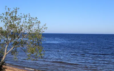 Ладожское озеро: красота в объективе фотокамеры