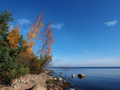 Ладожское озеро в линзе камеры: пленительные кадры природного благородства