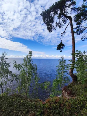 Фотка Ладожского озера в 2024 году: лучший выбор для фона