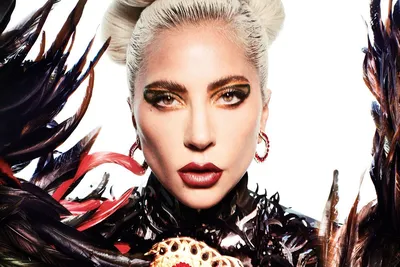 Изображение Lady Gaga в черно-белом стиле