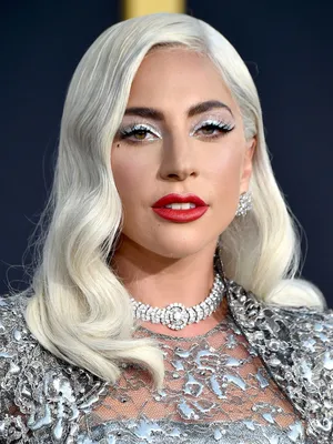 Картинка Lady Gaga с ее аксессуарами