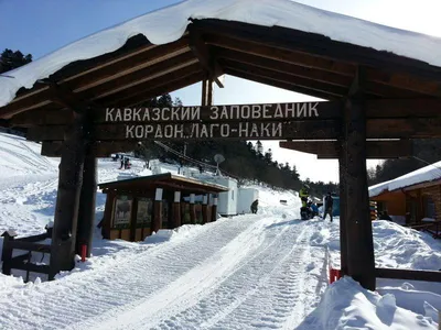 Все О Лаго Наки Зимой: Фотоальбом Зимней Красоты