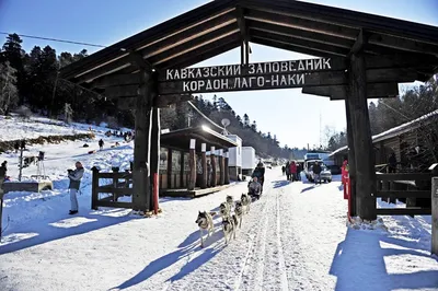 Фотоальбом Лаго Наки Зимой: Зимние Пейзажи в HD