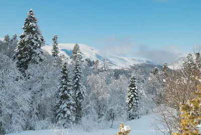 Лаго Наки Зимой: Очарование Ледяной Красоты в Фото