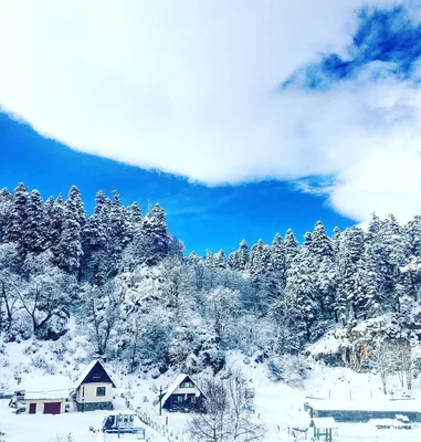 Лаго Наки в Холодах: Зимние Фотоискусства