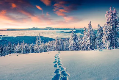 Лапландия в лучах солнца: 39 солнечных зимних кадров