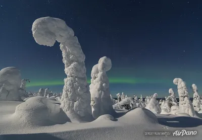 Великолепие зимнего утра: 39 фото Лапландии на выбор