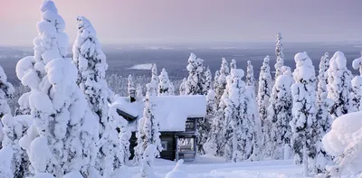 Зимние сказки: Фотографии Лапландии во всей красе