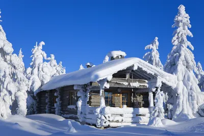 Фотоальбом зимней Лапландии: 39 изображений на выбор