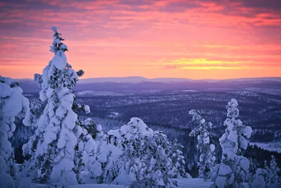 Зимний фотоэтюд: 39 красочных изображений Лапландии