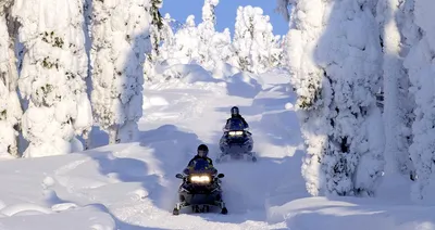 Зимняя красота Лапландии: 39 фотографий для скачивания