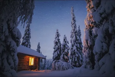 Лапландия в зимней одежде: 39 красочных фотографий