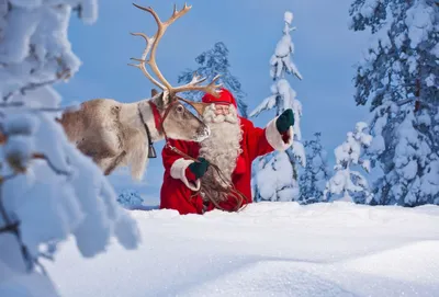Лапландия зимой: 39 фотографий в разнообразных форматах