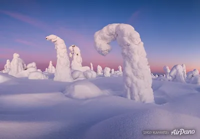 Фотоальбом Лапландия зимой: 39 моментов великолепия