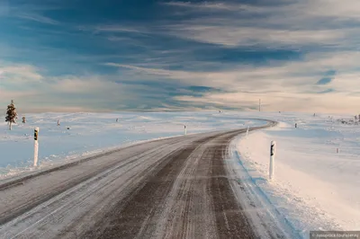 Зимний фотосет: 39 восхитительных кадров Лапландии