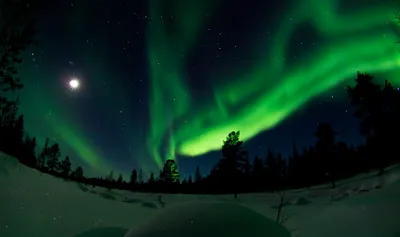 Зимний рай в объективе: 39 удивительных фотографий Лапландии