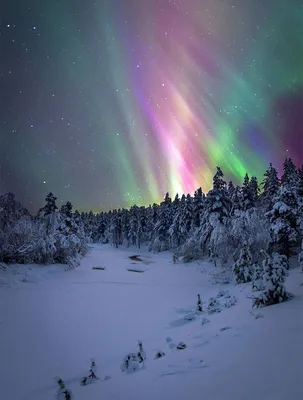 Лапландия заснеженными тропами: 39 изображений красоты