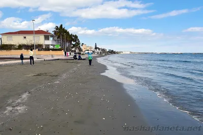 Ларнака: пляжи, где можно забыть о повседневных заботах (фото)