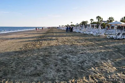 Ларнака 2024: красивые фотографии пляжей