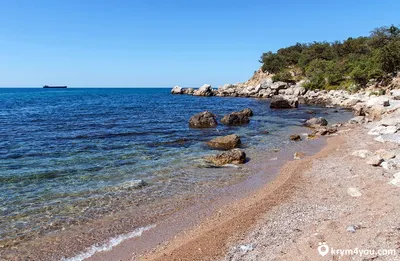 Фото Ласпи пляжа: морская бриза и пальмы