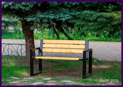 Фотка деревянной лавочки в заснеженном лесу