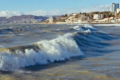 Загадочные глубины Лазаревского моря на фото