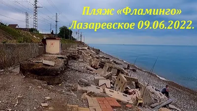 Фото Лазаревского пляжа фламинго с возможностью выбора размера