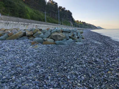 Фото Лазаревского пляжа фламинго с морскими волнами