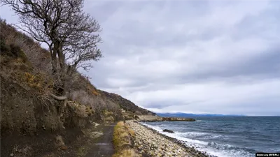 Лазурное крымское побережье: место, где мечты сбываются (фото)