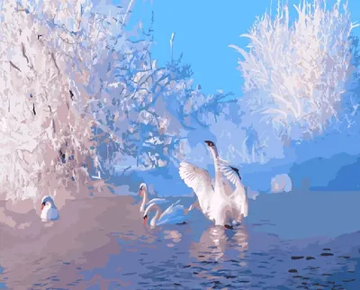 Зимние лебеди: фото с возможностью выбора JPG, PNG, WebP
