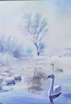 Фотографии зимних лебедей: красота на ваш выбор