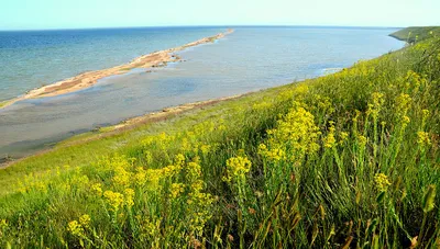 Фотки пляжа Лебедевки с песчаным берегом