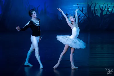 Лебединое озеро балет: великолепные фото для бесплатного скачивания