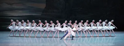 Новые снимки Лебединого озера балет: обои на ваш выбор