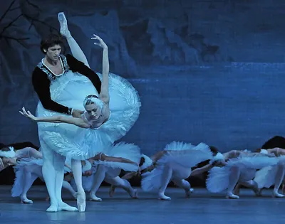 Лебединое озеро балет: фото в 4K разрешении, скачать JPG, PNG бесплатно