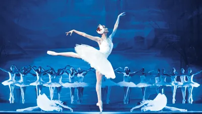 Лебединое озеро балет: снимки в HD качестве, загрузите в формате WebP