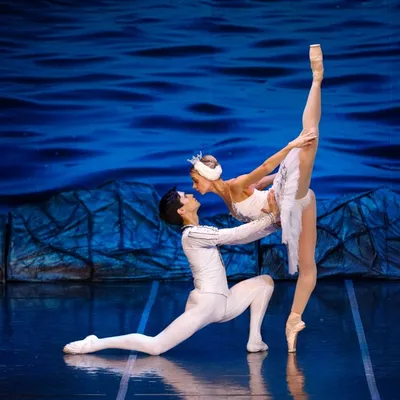 Впечатляющие фото Лебединого озера балет: скачать бесплатно в PNG