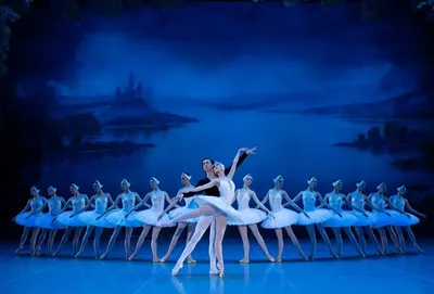 Уникальные снимки Лебединого озера балет: великолепные обои для вашего экрана