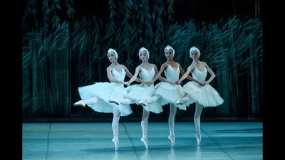 Лебединое озеро балет: волшебство природы на фото