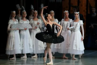 Лебединое озеро балет: красота, окутанная загадкой (фото)