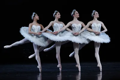 Лебединое озеро балет: фотографии в Full HD, JPG скачать