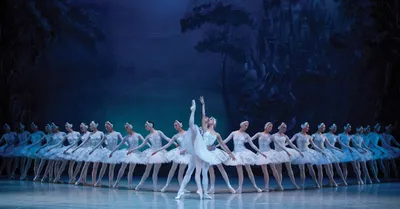 Фотографии с Лебединого озера балет: запечатлейте магию