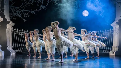 Лебединое озеро балет: нежность и элегантность на фото